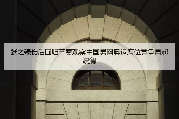 张之臻伤后回归节奏观察中国男网奥运席位竞争再起波澜